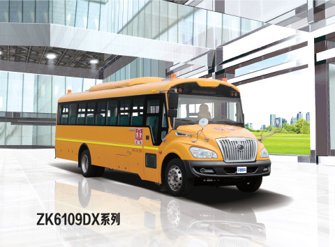 ZK6109DX