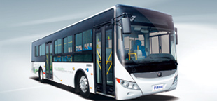 zk6125chevnpg21