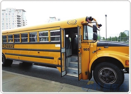 看看国外的校车 看看国外的校车